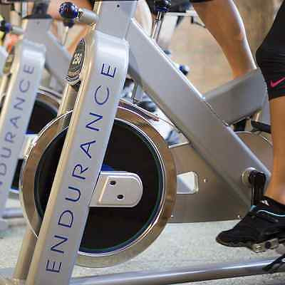 Body-Solid Endurance ESB250 Commercial Indoor Cycling Exercise Bike - GymBasis Store
