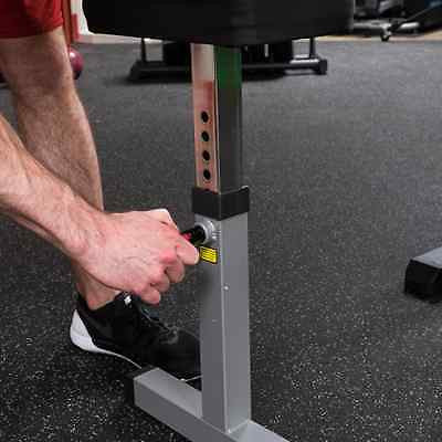 Body-Solid GCBT-STK Pro-Select Biceps & Triceps Machine | 210 lb stack - GymBasis Store
