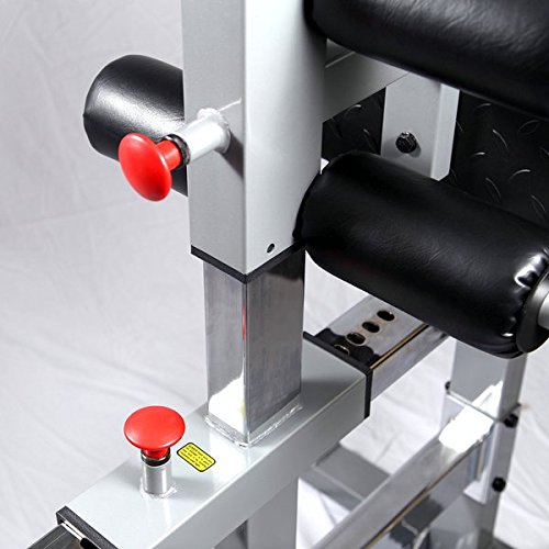 Body-Solid GHD Glute Ham Ab Back Hyperextension Roman Chair SGH500 - GymBasis Store