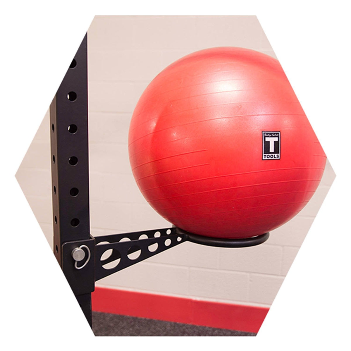 Stability Ball Holder (For Hex Rig) - GymBasis Store