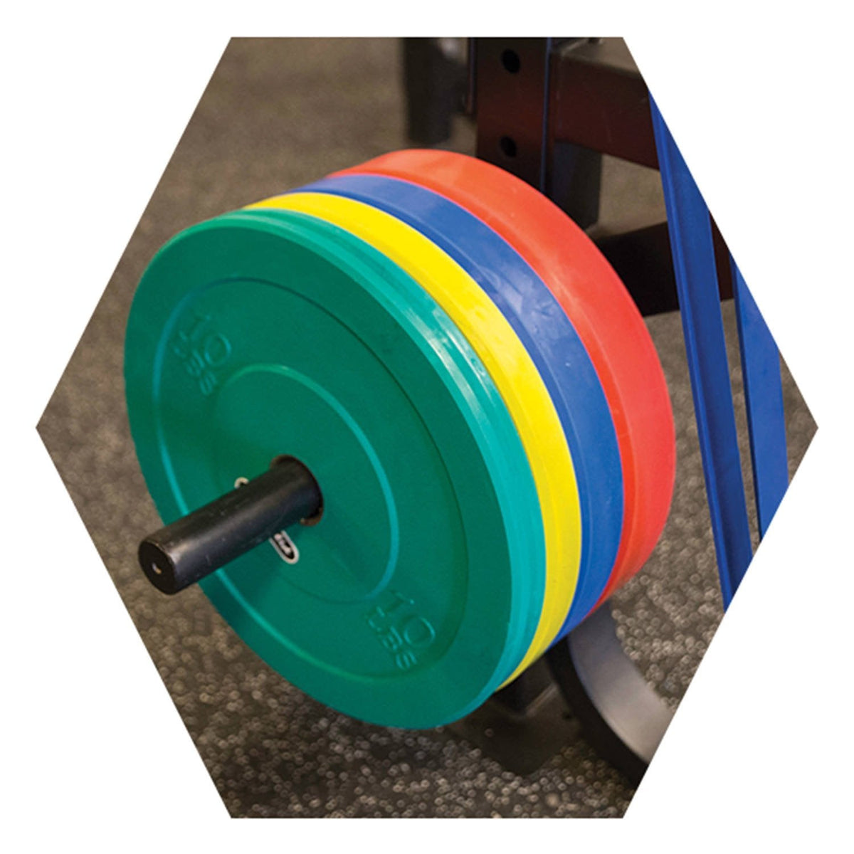 Weight Plate Horn (For Hex Rig) - GymBasis Store
