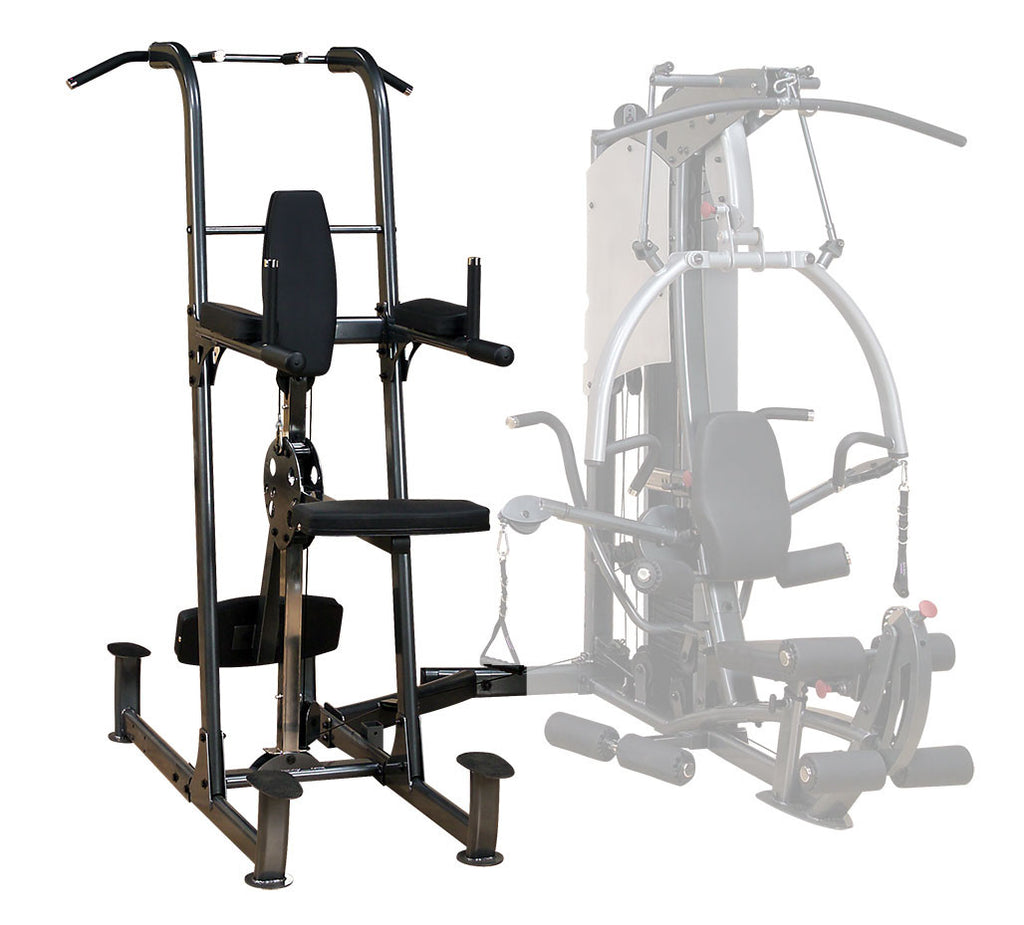 PROCLUBLINE VERTICAL KNEE RAISE CHIN DIP