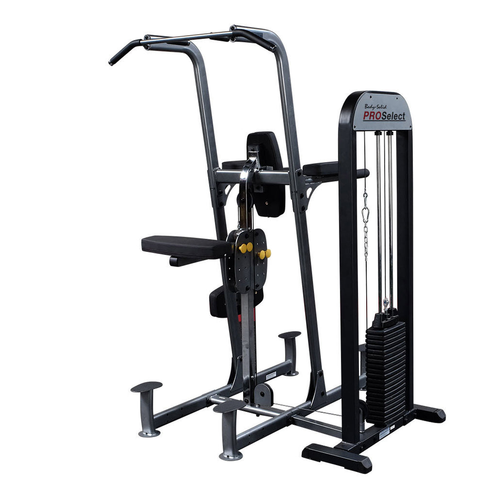 PROCLUBLINE VERTICAL KNEE RAISE CHIN DIP