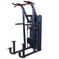 Vertical Knee Raise Chin Dip, GVKR82